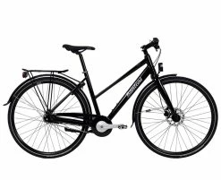 Bantoni Flavio Dam 2022