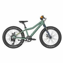 Scott Roxter 20" 2022